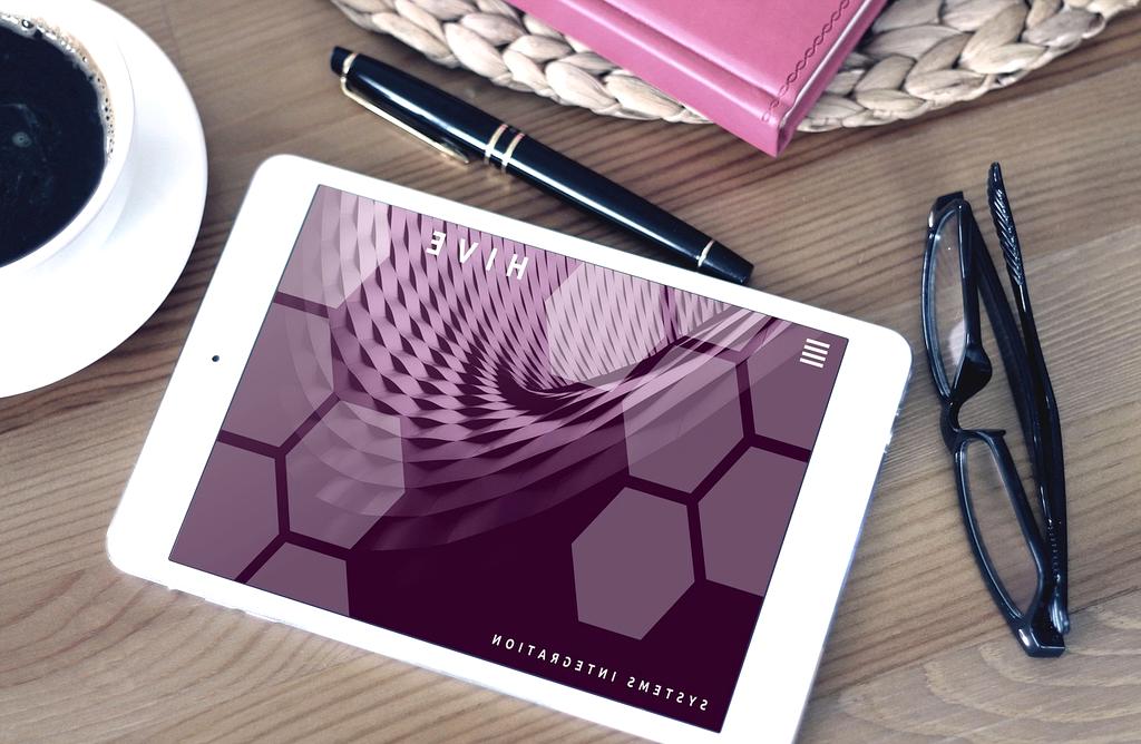 Neural network connections representing brain plasticity and workspace influence